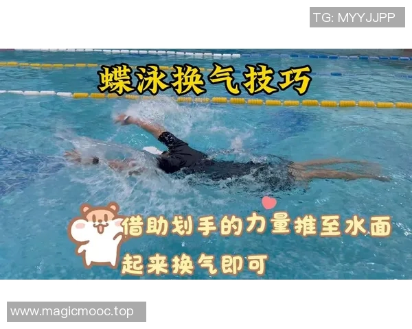 蝶泳基本技巧解析与提升方法全面指南