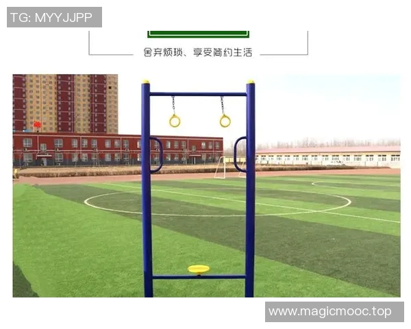 转体健身器材：适合转体练习的健身器材类型与功能说明