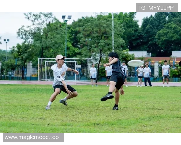飞盘战术解析杭州飞盘队如何构建高效进攻体系与战术配合