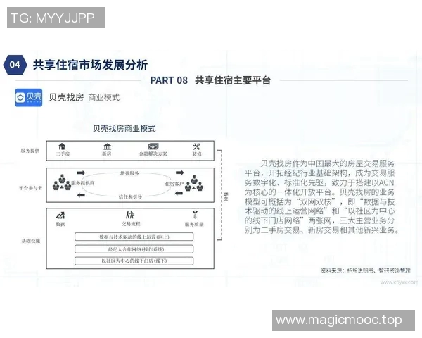 上海极限运动队状态全景解析及各队表现对比分析